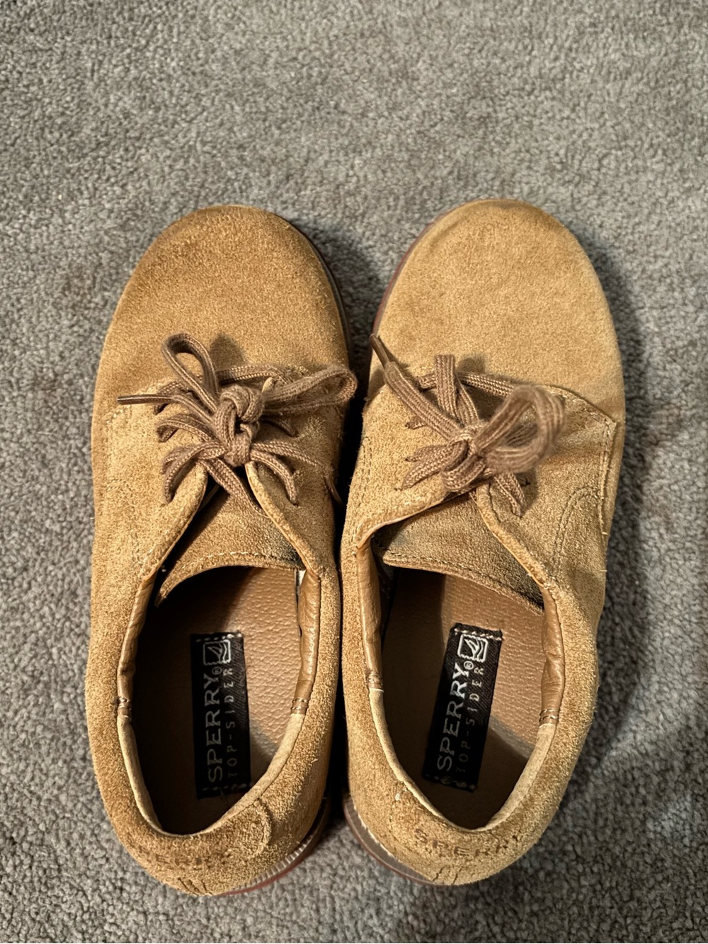 Sperry Boys Tan Suede Casual Shoe - Comfortable Lace-Up